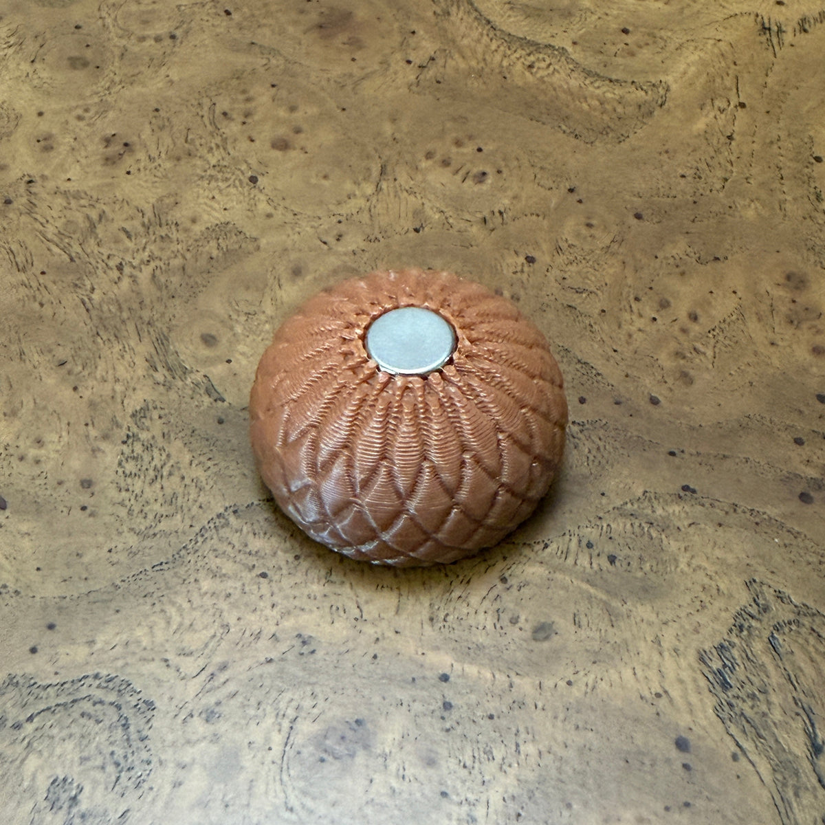 Small round textured cap for the acorn scent hide.  The cap is placed showing the a magnet embedded on the surgace, placed on a textured wood-grain surface.