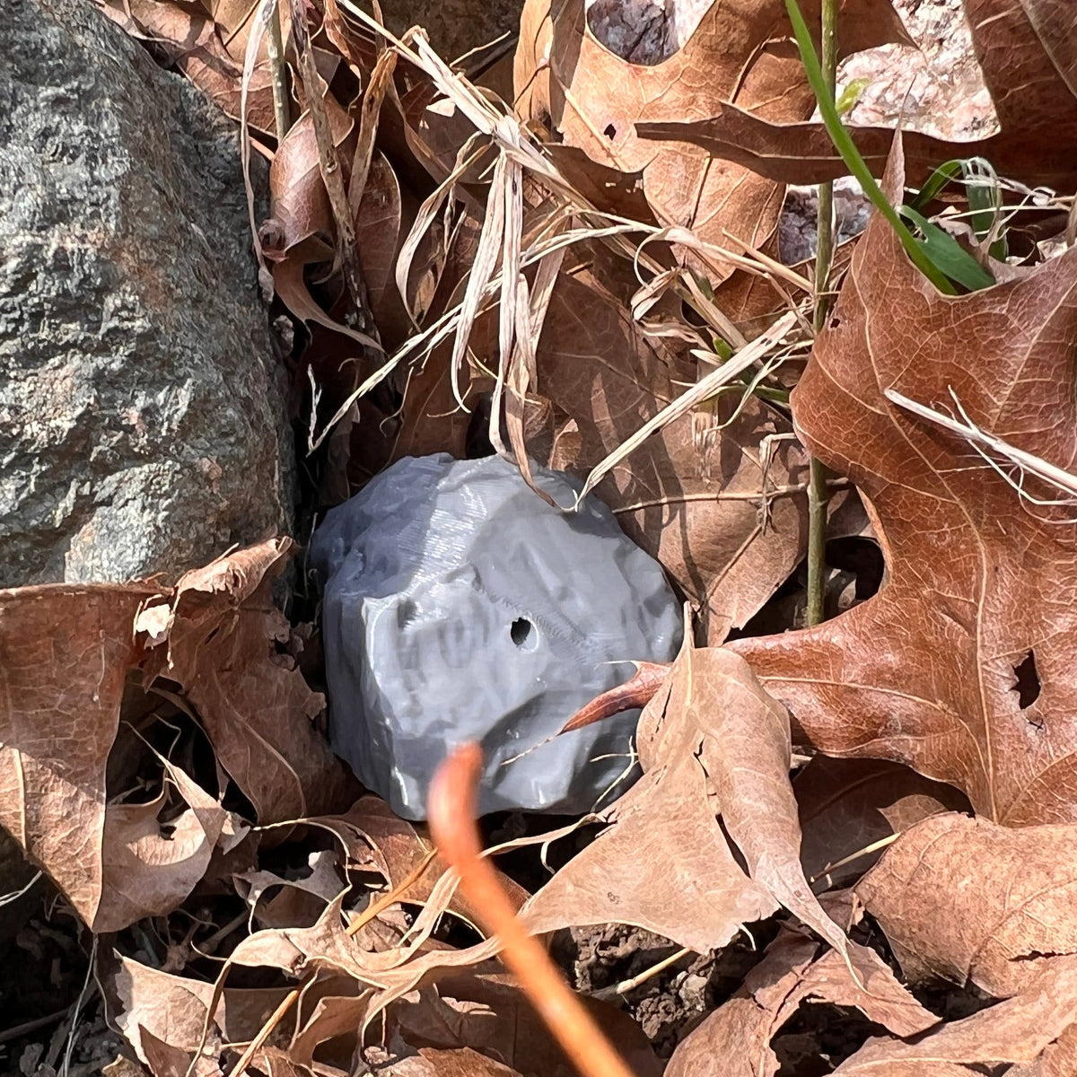 Small stone shaped scent work hide medium gray nestled into leaves next to a large natural stone.