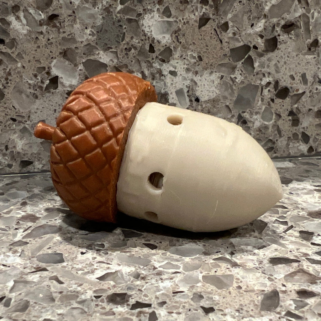 Acorn