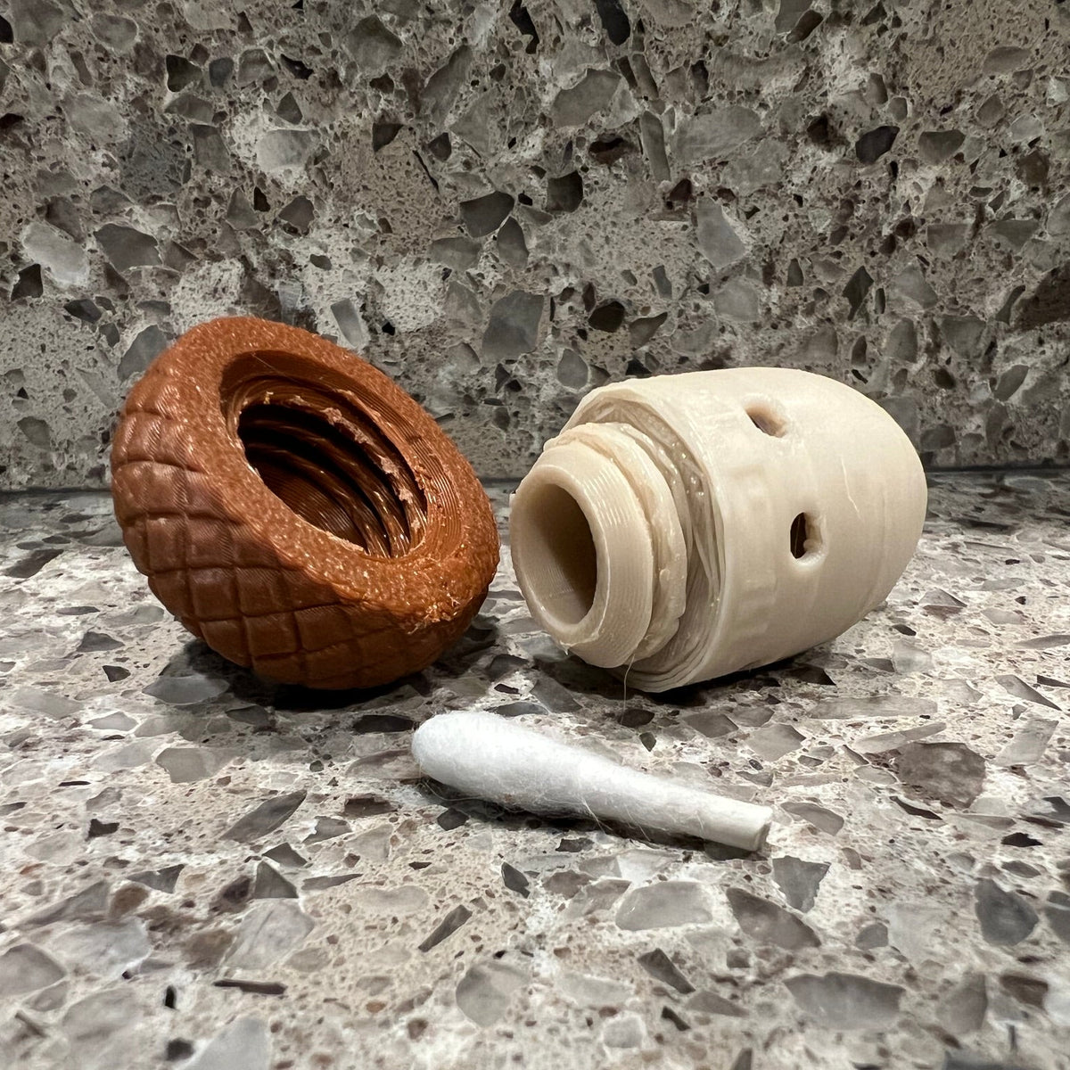 Acorn