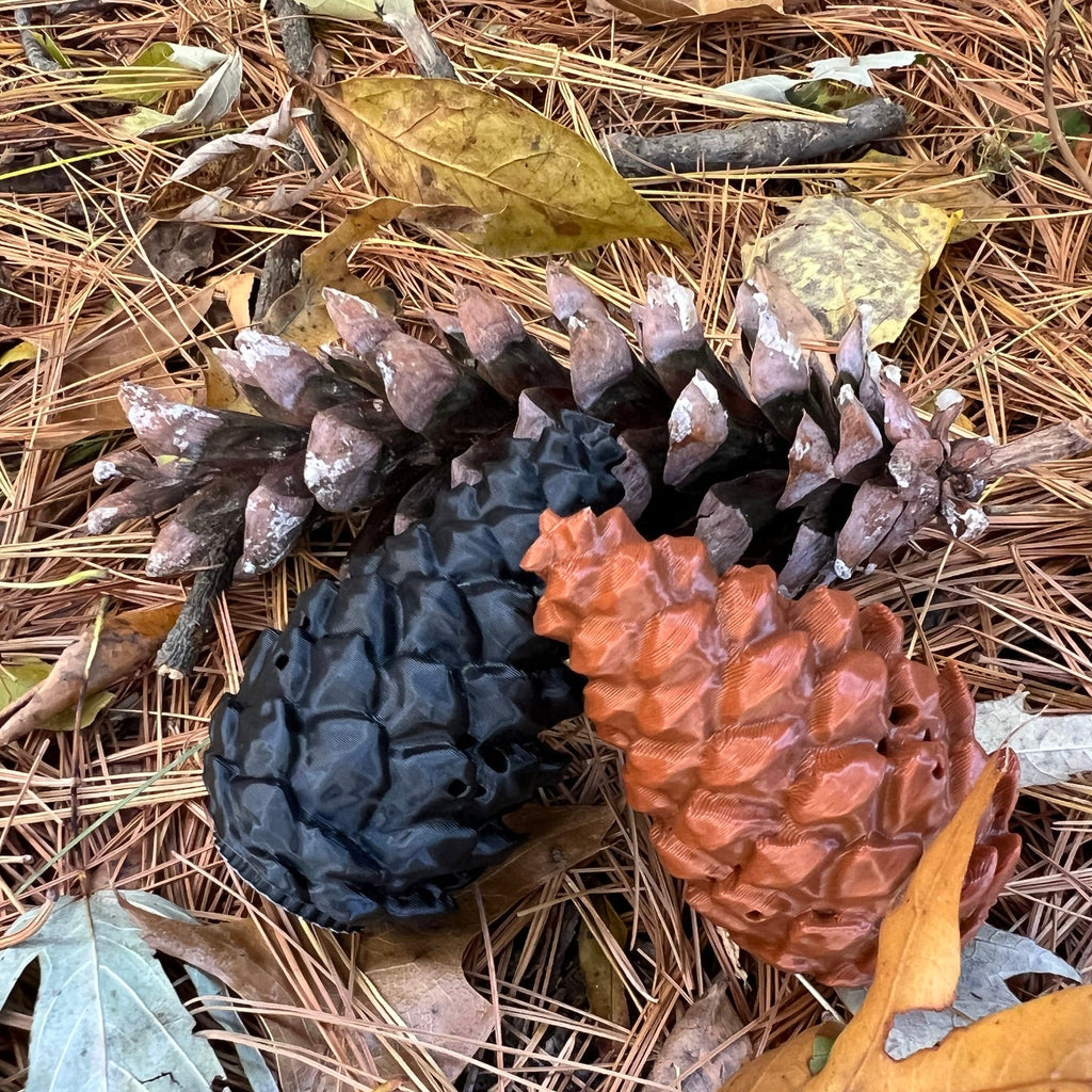 Pinecones