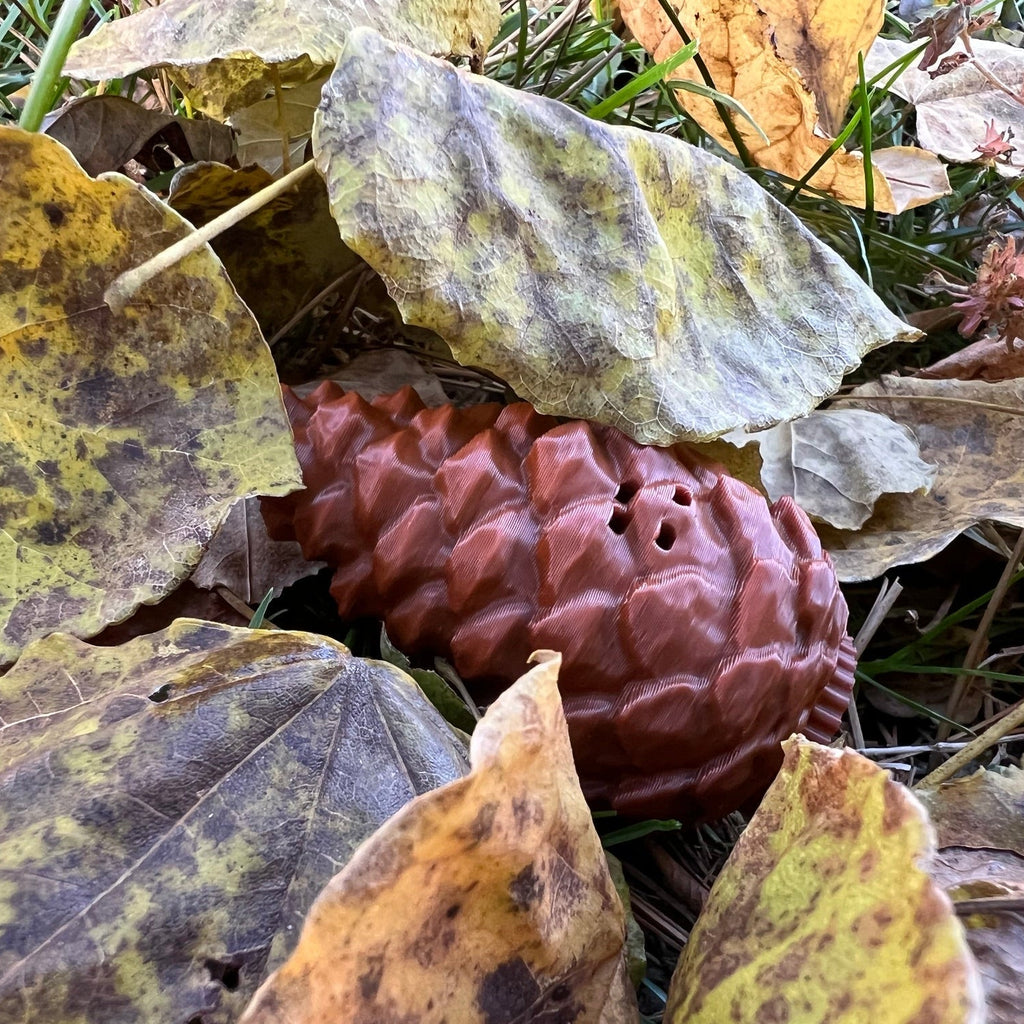 Pinecones