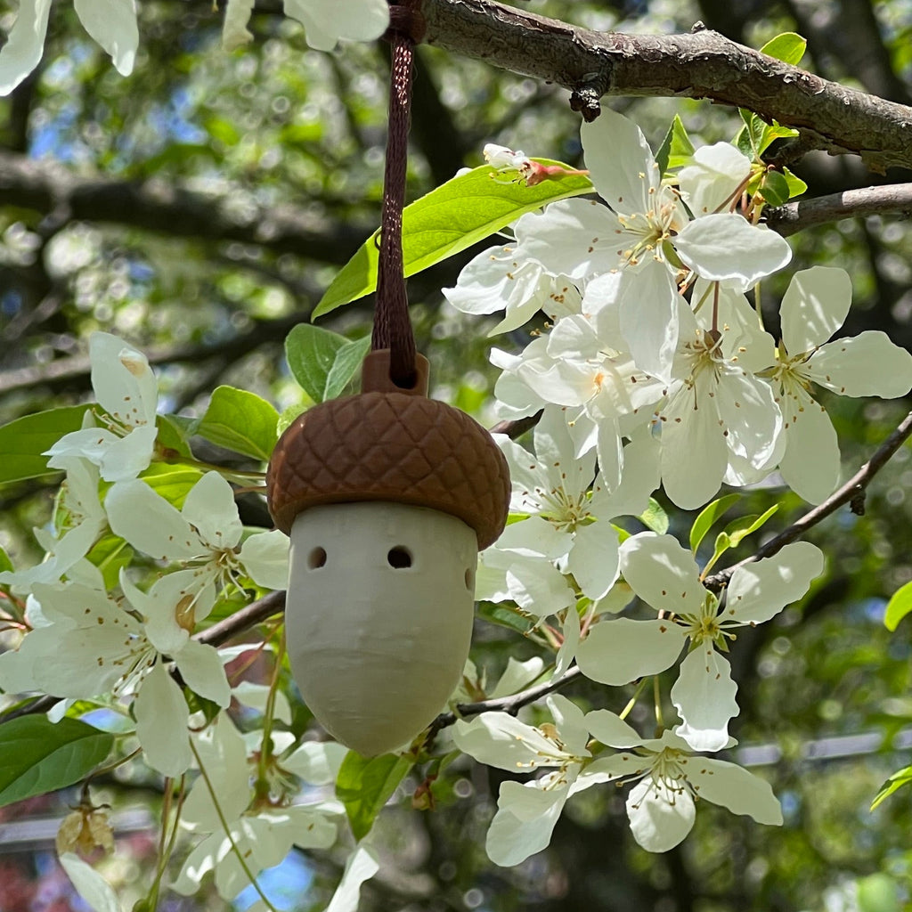 Acorn