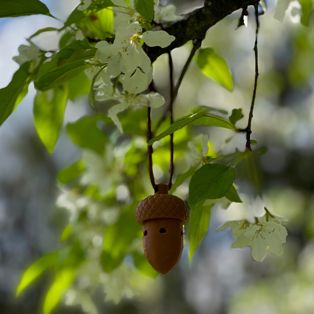Acorn