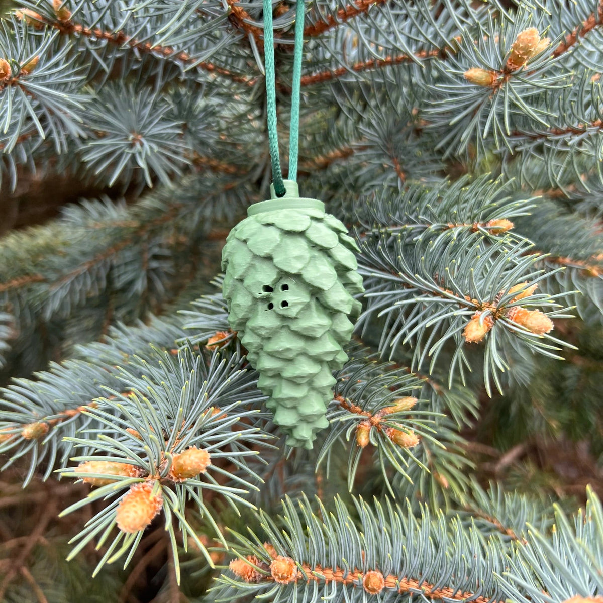 Pinecones
