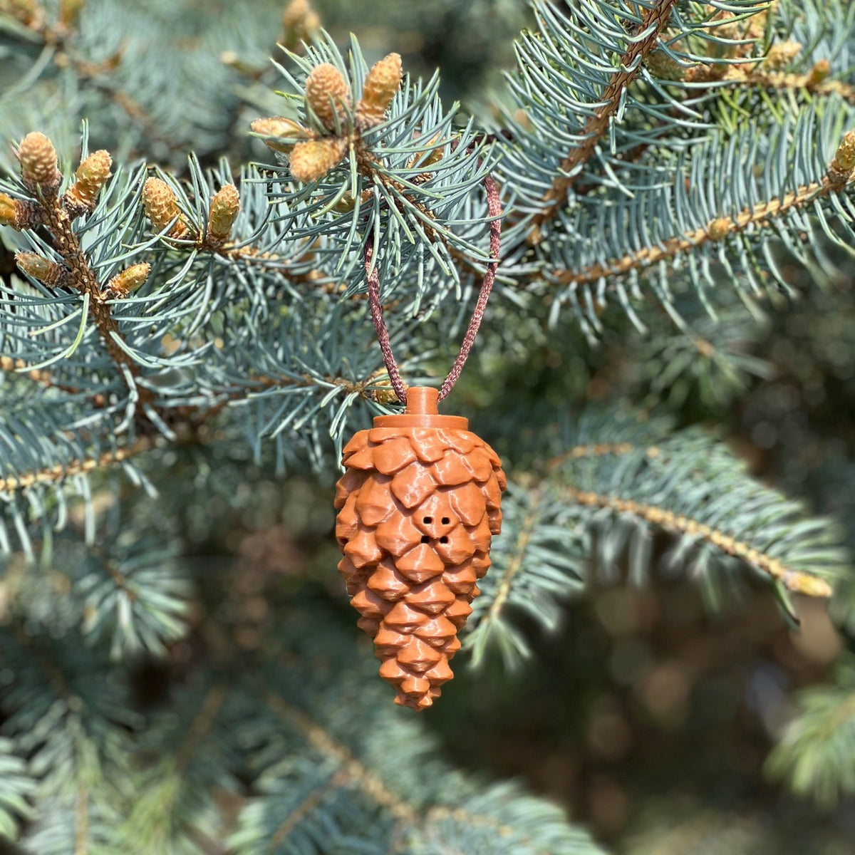 Pinecones