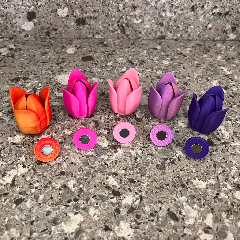 Tulips