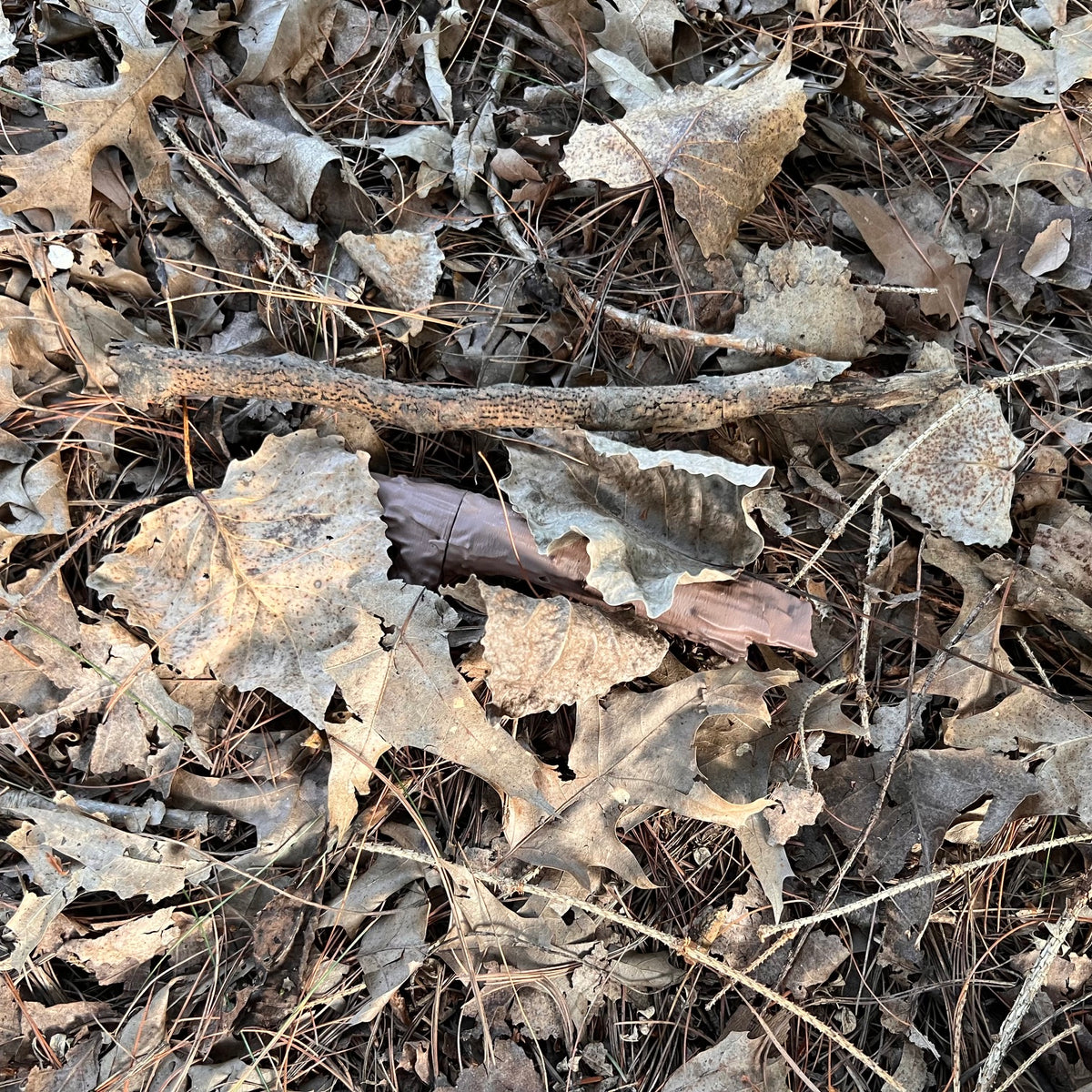 Sticks