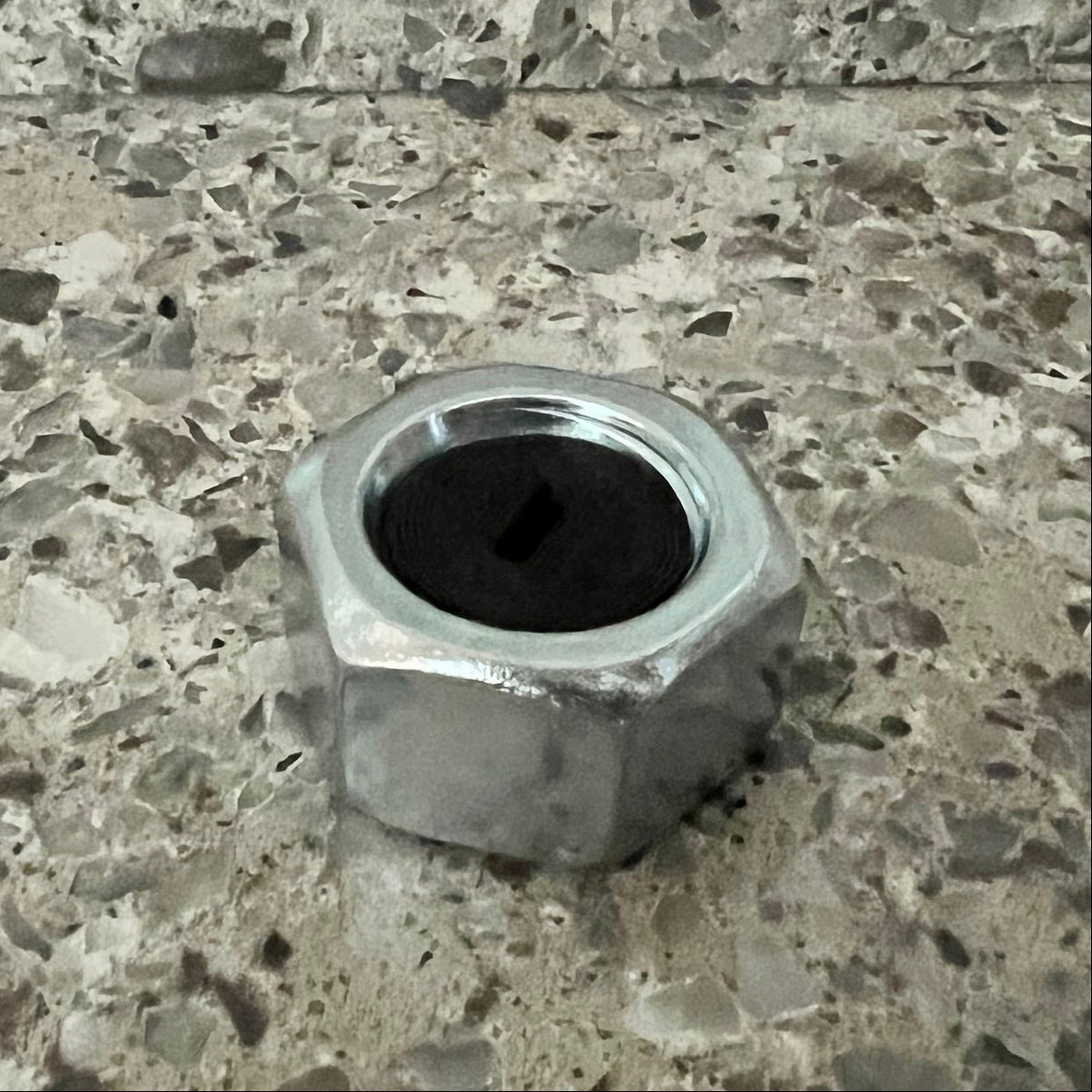 Judges Exclusive: Nut Plug