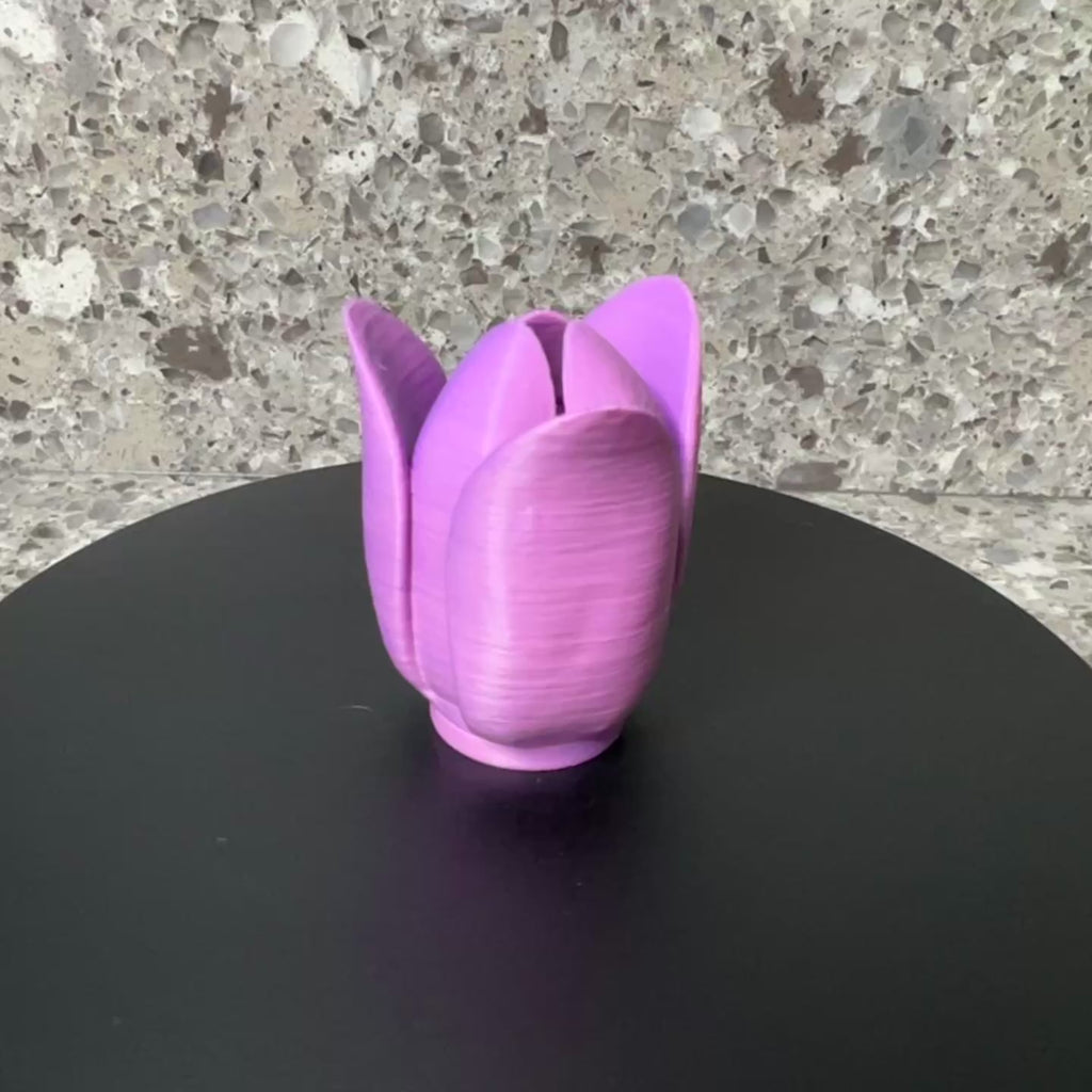 Tulips