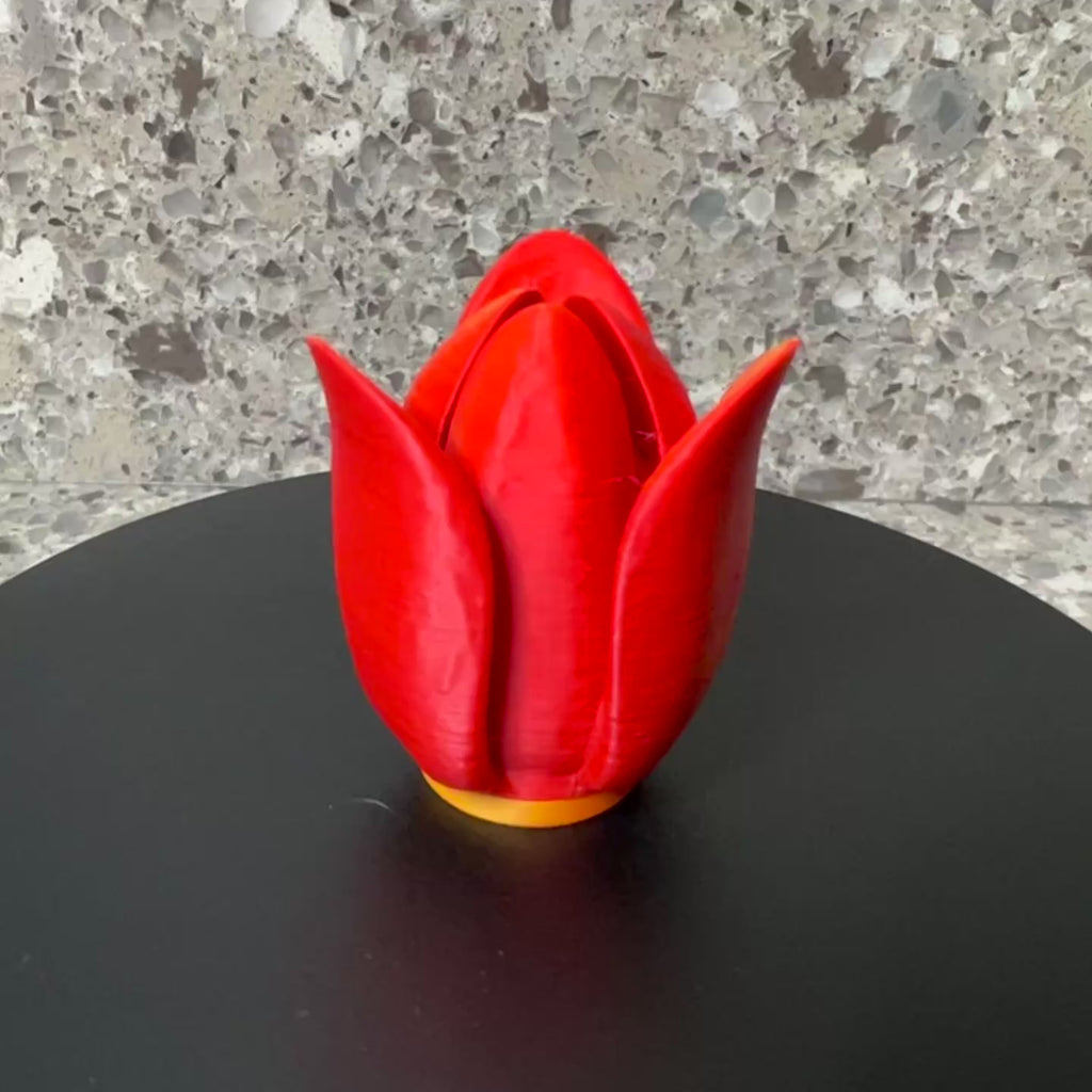 Tulips